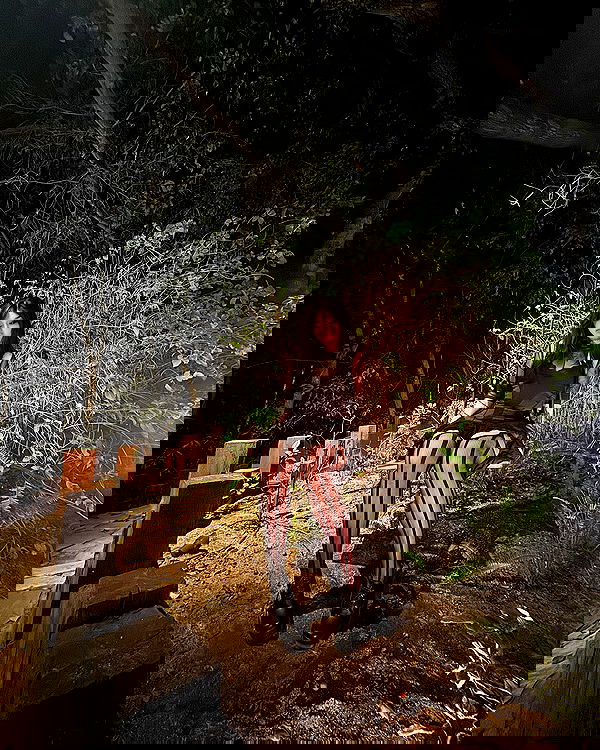 flarebahr flarebahr archive image