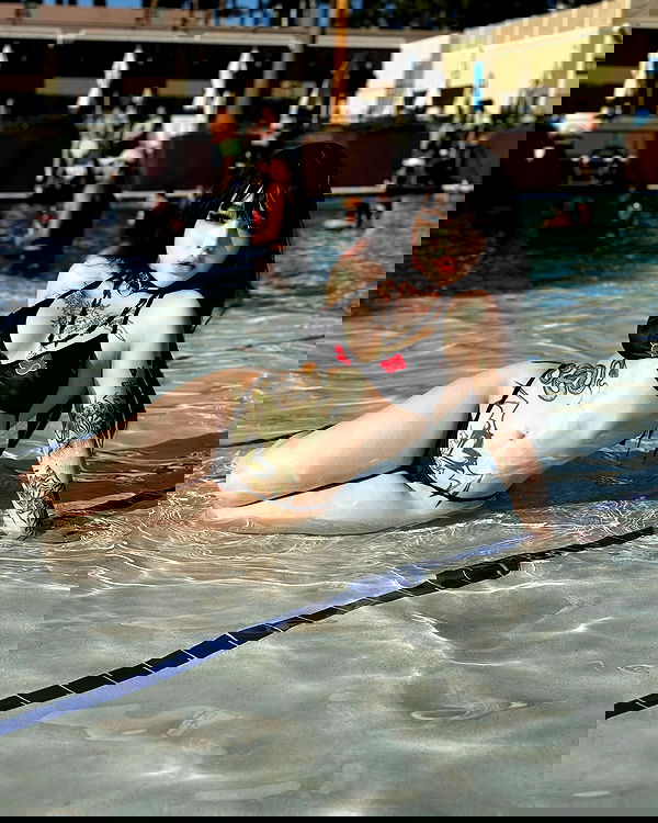 flarebahr flarebahr archive image