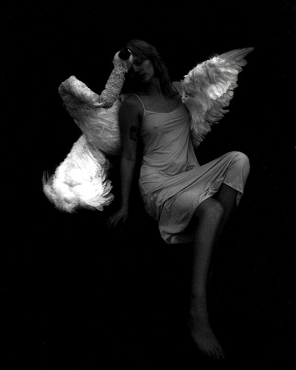 florenceros.e instagram image archive image