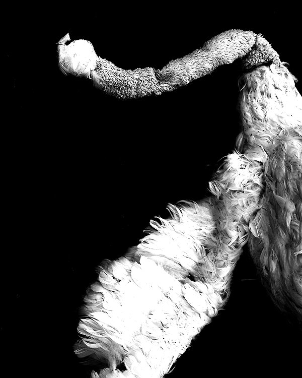 florenceros.e instagram image archive image