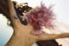 florenceros.e Altpins Profile Picture