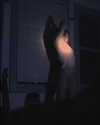 florenceros.e Altpins Profile Picture