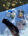 florenceros.e Altpins Profile Picture