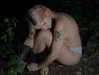 florenceros.e Altpins Profile Picture