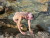 florenceros.e Altpins Profile Picture