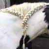 florenceros.e Altpins Profile Picture