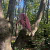 florenceros.e Altpins Profile Picture
