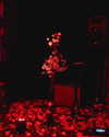 florenceros.e Altpins Profile Picture