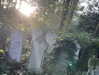 florenceros.e Altpins Profile Picture