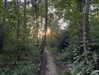 florenceros.e Altpins Profile Picture
