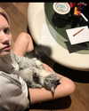 florenceros.e Altpins Profile Picture
