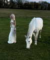 florenceros.e Altpins Profile Picture