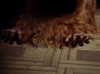 florenceros.e Altpins Profile Picture