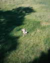 florenceros.e Altpins Profile Picture