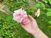 florenceros.e Altpins Profile Picture