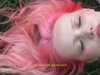 florenceros.e Altpins Profile Picture