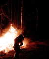florenceros.e Altpins Profile Picture