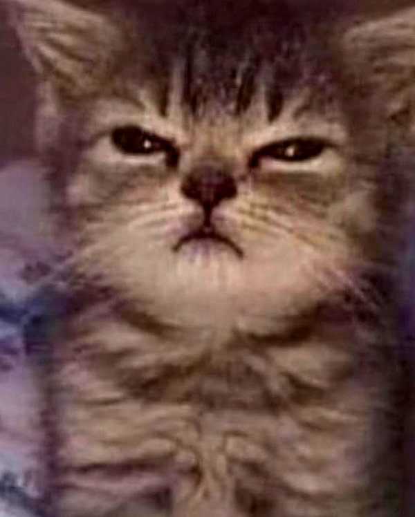 fuckinncutee instagram image archive image