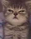 fuckinncutee Altpins Profile Picture