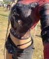 fyejax Altpins Profile Picture