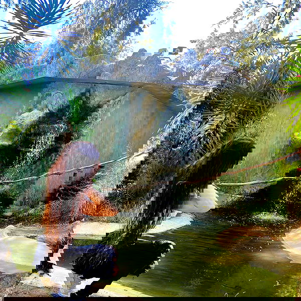 g.a.l.1.a g.a.l.1.a archive image