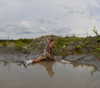 gag.nyc Altpins Profile Picture