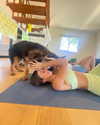 gal_laniado Altpins Profile Picture