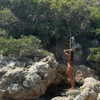 gal_laniado Altpins Profile Picture