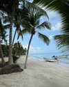 gali_azuolay Altpins Profile Picture