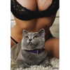 galina.dub Altpins Profile Picture