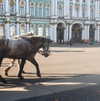 galina.dub Altpins Profile Picture
