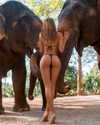 galina.dub Altpins Profile Picture
