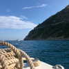 giadapaletto_ Altpins Profile Picture