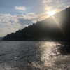 giadapaletto_ Altpins Profile Picture