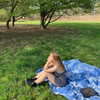 giadapaletto_ Altpins Profile Picture