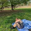 giadapaletto_ Altpins Profile Picture