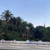 giadapaletto_ Altpins Profile Picture