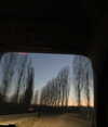 giadapaletto_ Altpins Profile Picture