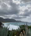 giadapaletto_ Altpins Profile Picture