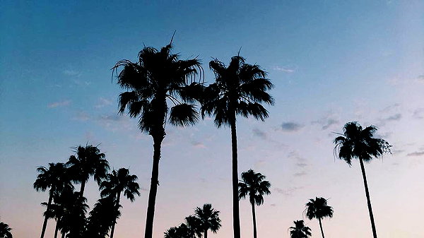 giatandari instagram image archive image