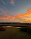 gili.ganani Altpins Profile Picture