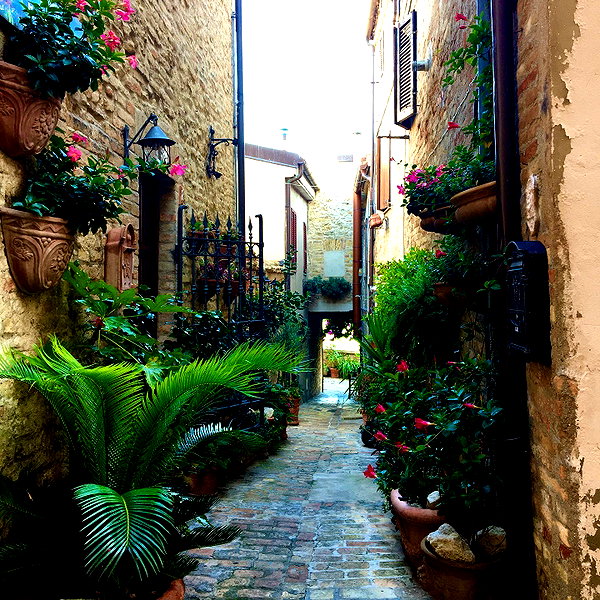 giorjja instagram image archive image