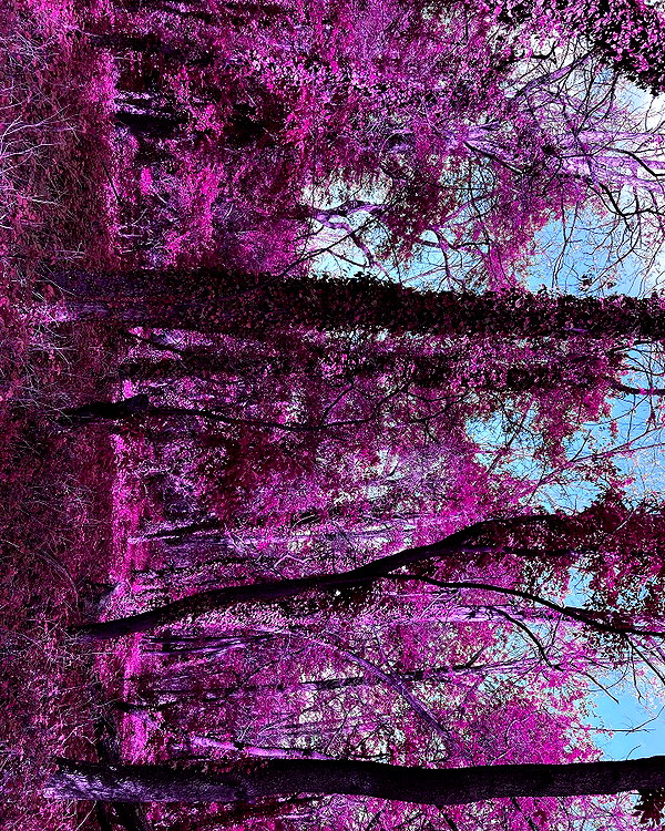 giorjja instagram image archive image
