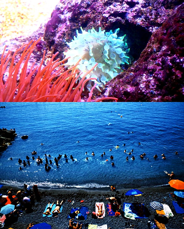 giorjja instagram image archive image