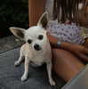 giulia.monico Altpins Profile Picture