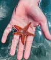 giulia.monico Altpins Profile Picture