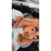 glizzygobblerx Altpins Profile Picture