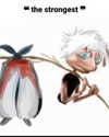gmuhvo Altpins Profile Picture