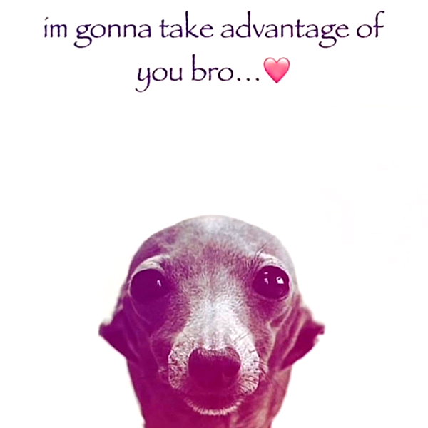 gonkgonk666 instagram image archive image