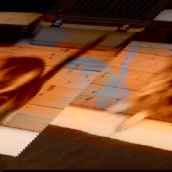 gumihohannya image ~ Altpins